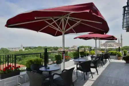 Agora Life - 3