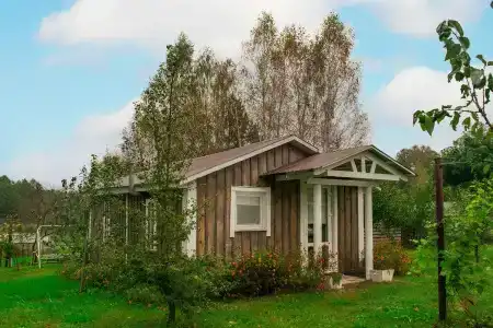Боровики - 2