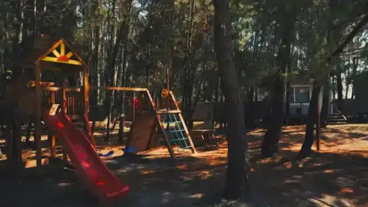 Forest Club - 4