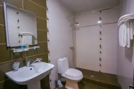 Ani Central Inn - 18