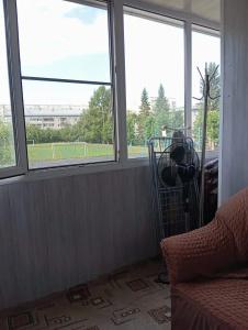 Подсолнух - 31