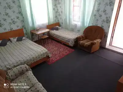 Подсолнухи - 42