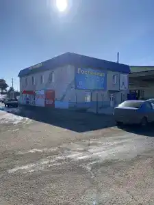 Тарская - 1