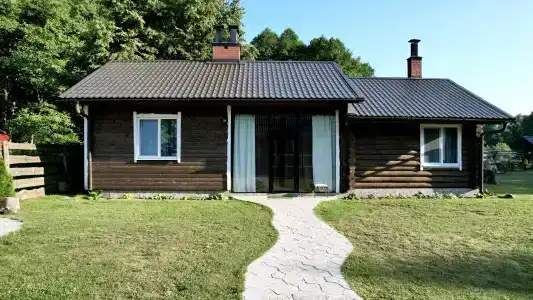 Магия леса в Беловежской пуще - 18