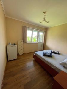Lilly Guest House - 6