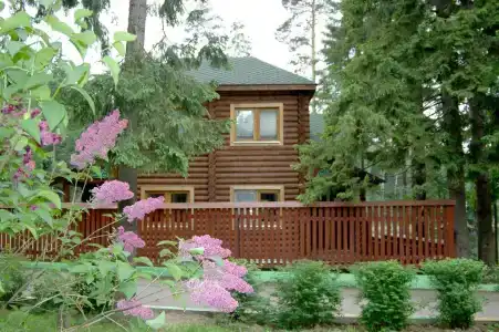 Царский лес - 9
