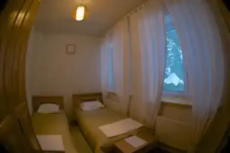 Клевер - 23