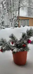 Гостевой дом - 26
