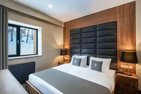 Bristol and Spa Bakuriani - 12