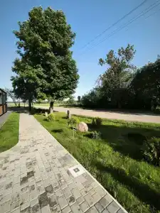 Журавлиная Ельня - 12