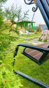 Дикая земля - 20