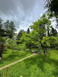 Imeri Park - 26