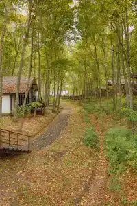 Истра - 6