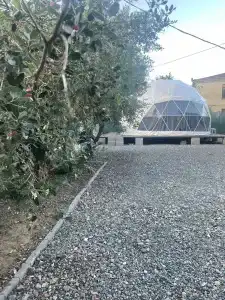 БагмарHome - 0