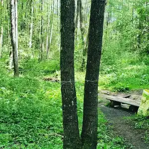 Агроусадьба у Сан Саныча - 11
