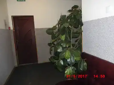 Искра - 8