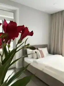 Квартира на Комарова 9Б - 0