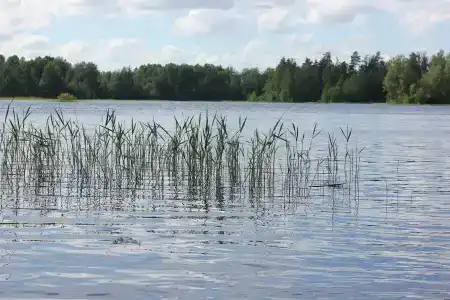 Глэмпинг на Вуоксе - 38