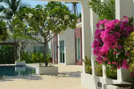 The Beach Village - 9