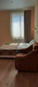 Золотой лев - 10