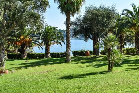 Govino Bay - 39