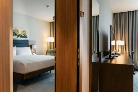 Hilton Garden Inn Tbilisi Chavchavadze - 40
