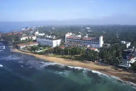 Citrus Hikkaduwa - 1
