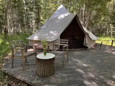 Звездный лес - 33