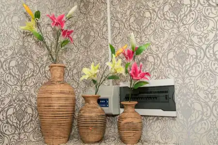 Ладомир на Садовом - 6