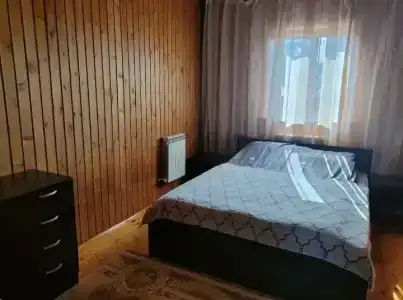 Кизил - 6