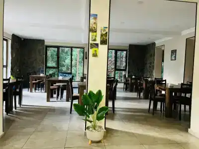 Shgedi Mestia - 6