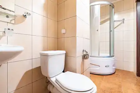 Русский лес - 118