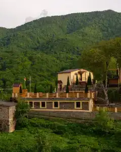 Dilivita - 1