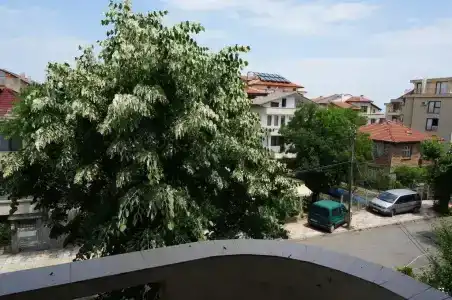 Lilia 2 - 2