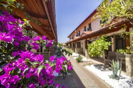 Portakal Dalyan - 14