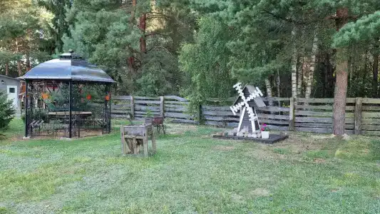 Магия леса в Беловежской пуще - 138