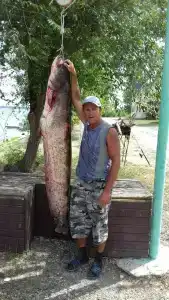 Найт Флайт - 38