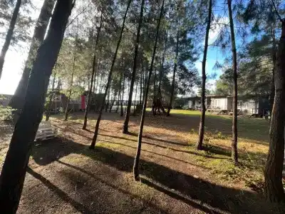 Forest Club - 11