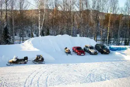 Горностай - 40