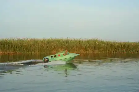 Волга-Дельта - 5