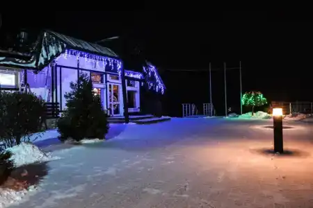 Подсолнух - 6