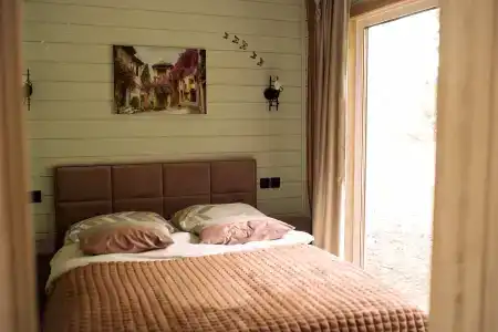 Магия леса в Беловежской пуще - 201