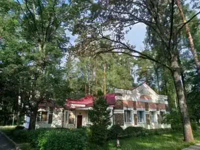 Ателика Снежка - 1