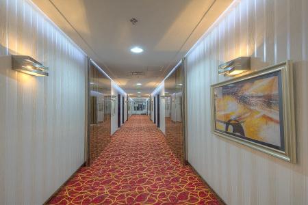 Orchid Vue - 8