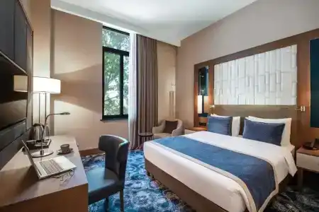 Tbilisi Philharmonic by Mercure - 22