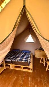 Charyn Canyon Camp - 16