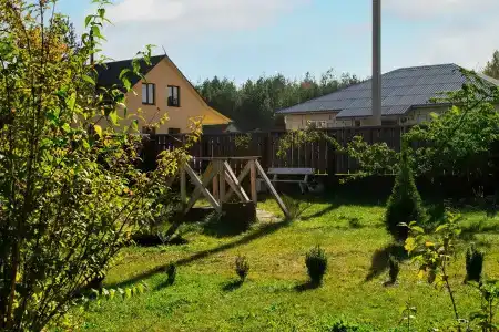 Боровики - 53