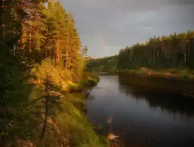 Уют - 11