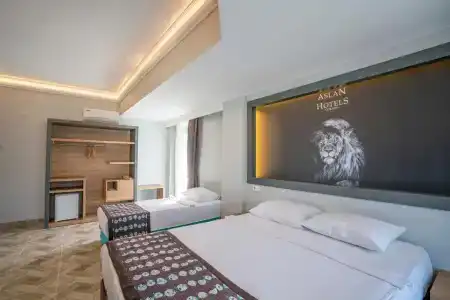 Aslan Corner - 17