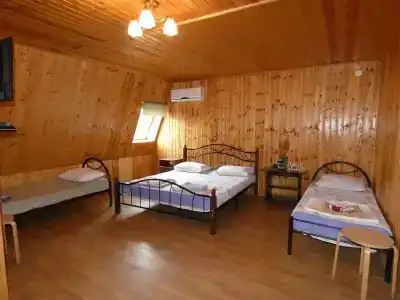 Нора - 7